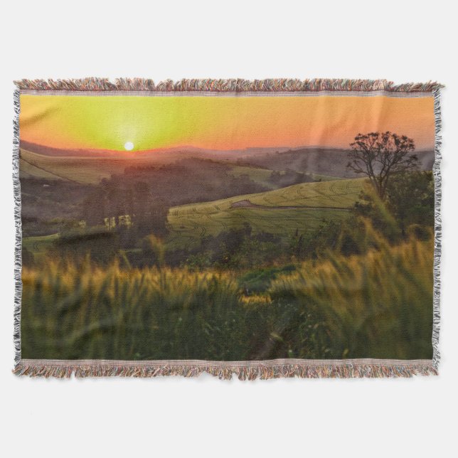 Manta Tejida Trigo de la agricultura de la puesta del sol (Anverso)