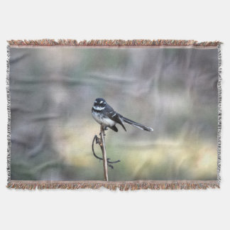 MANTA TEJIDA WAGTAIL DE WILLIE EN QUEENSLAND RURAL AUSTRALIA
