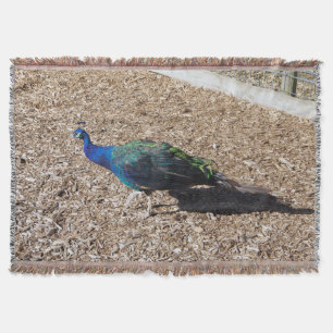 Manta térmica de pavo real azul indio