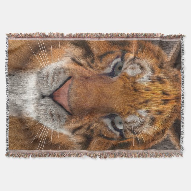 Manta Tigre (Anverso)