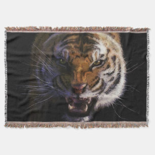Manta Tigre de Bengala en crecimiento para los amantes d