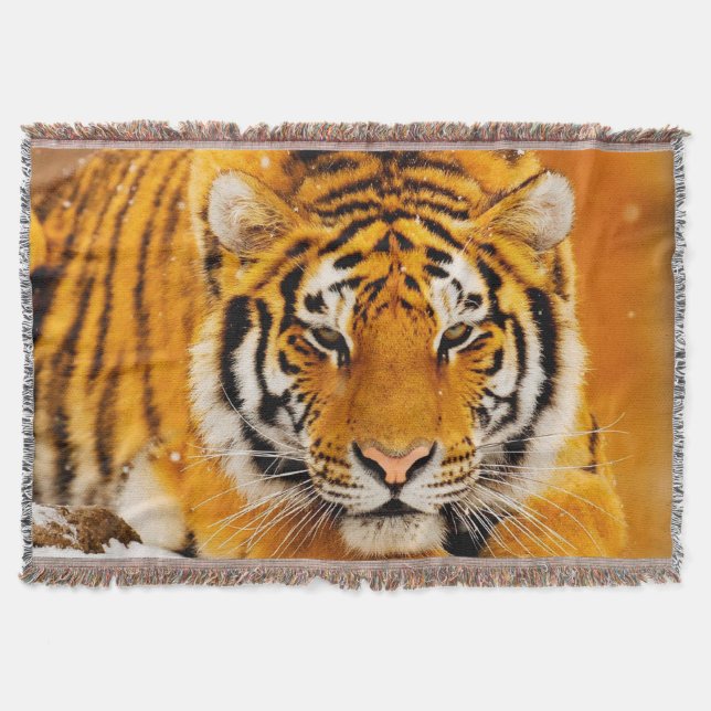 Manta Tigre de Siberia (Anverso)