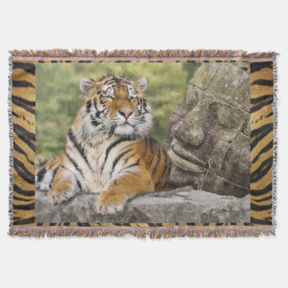 Manta Tigre y Buda