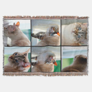Manta Tirar una manta/plata tabby siamés