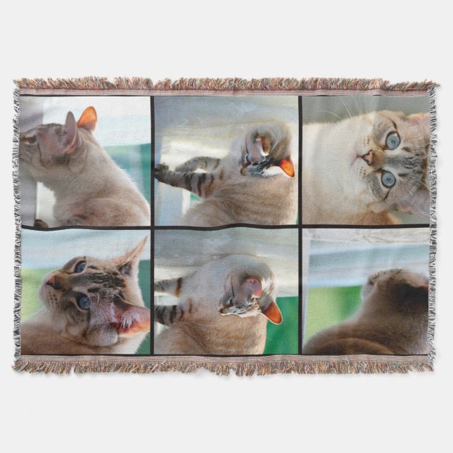 Manta Tirar una manta/plata tabby siamés (Anverso)