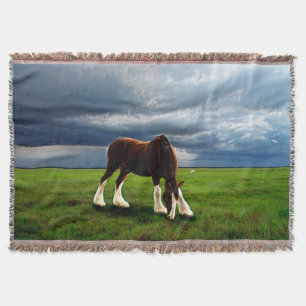 Manta Tormenta de Clydesdale
