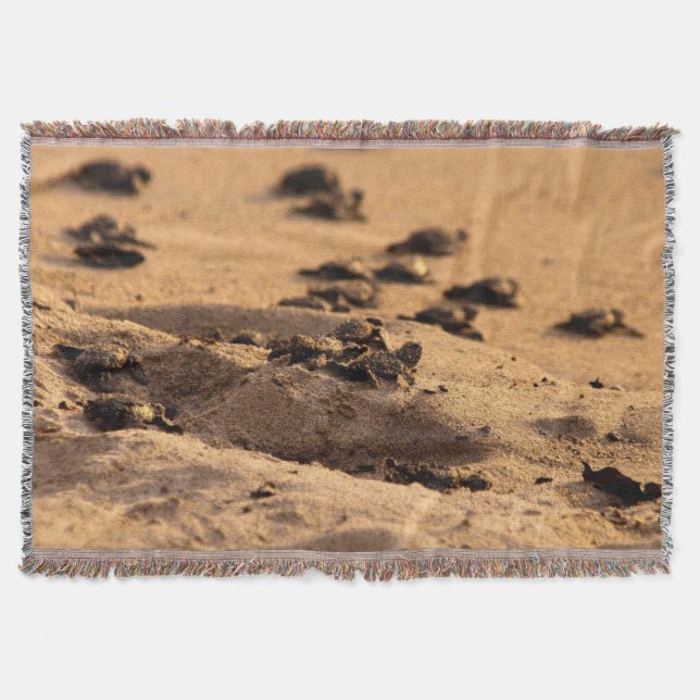 Manta Tortugas de mar (Anverso)