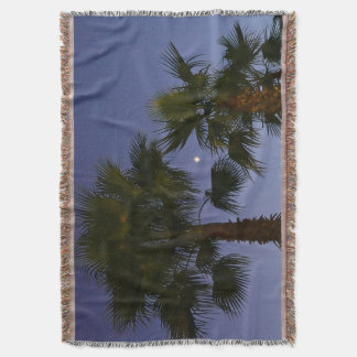 Manta Tropical Palm Tree Wall Art Twilight Coastal