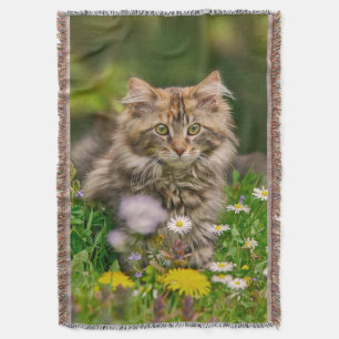 Manta Un gato gatito de Maine con flores