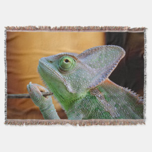 Manta Velado Chameleon