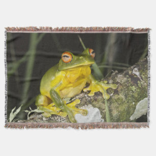 Manta Verde Rana
