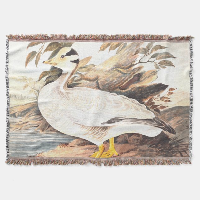 Manta Vintage Bird Elizabeth Gwillim (Anverso)