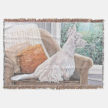 Westie Mirando hacia fuera una ventana