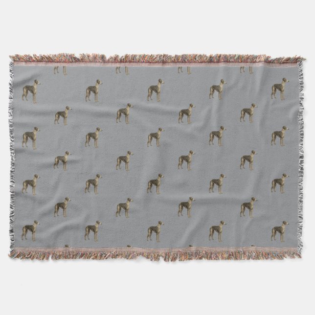Manta Whippet blanket - Whippet against grey background (Anverso)