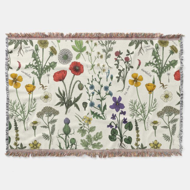 Manta Wildflowers collage (Anverso)