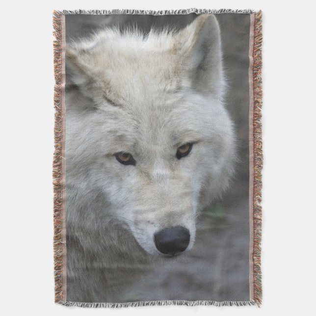 Manta Wolf 001 (Frente vertical)