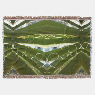 Manta Yucca deja fotografía verde de la naturaleza