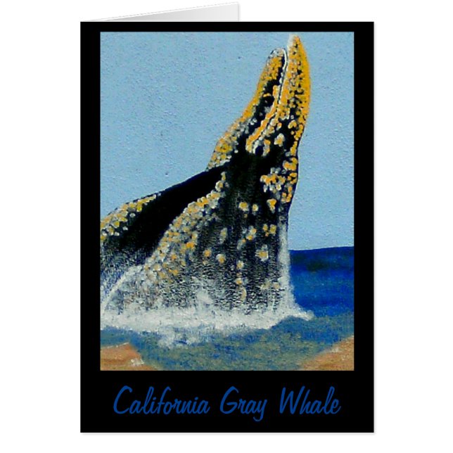 Mantas bubblepacíficas (Frente)