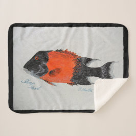 Mantas bubblepacíficas