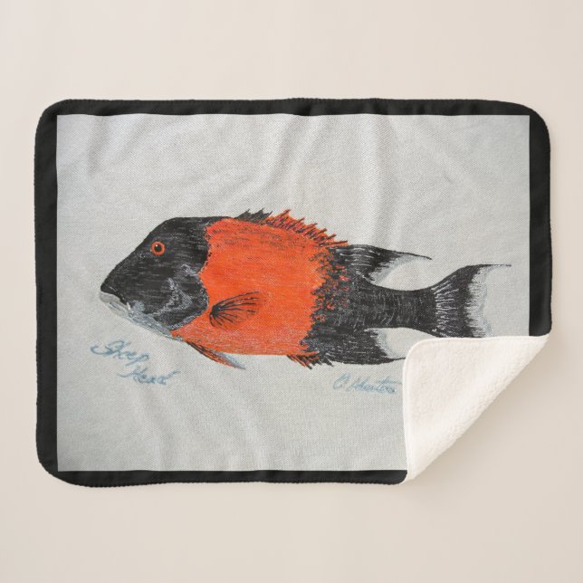 Mantas bubblepacíficas (Anverso (horizontal))