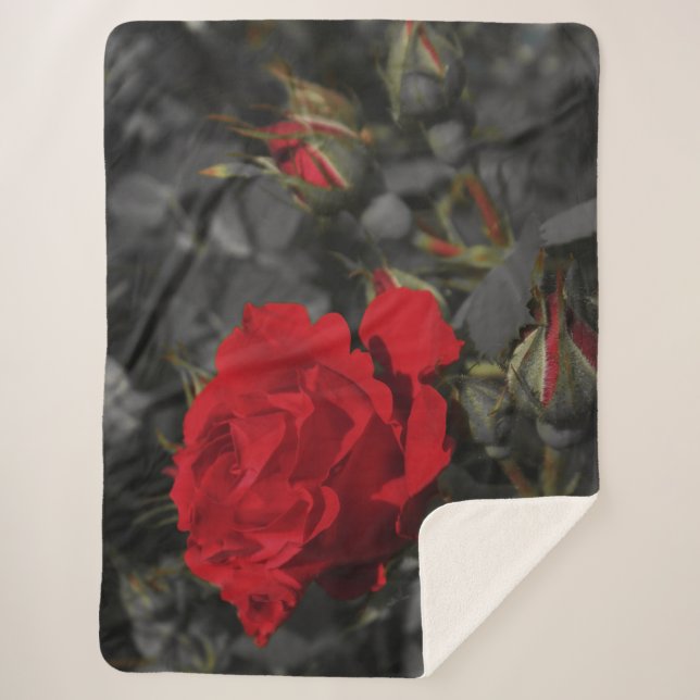 Mantas Sherpa, artesanía, vacaciones, elegante, co (Anverso)