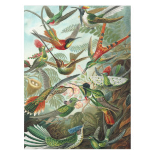 Mantel 12 razas americanas de aves cantantes pintadas