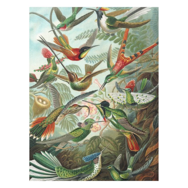 Mantel 12 razas americanas de aves cantantes pintadas (Anverso)