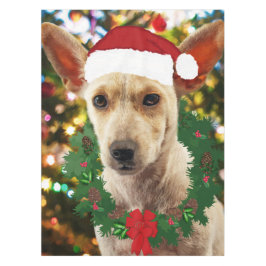 Mantel Alegría por el cachorro