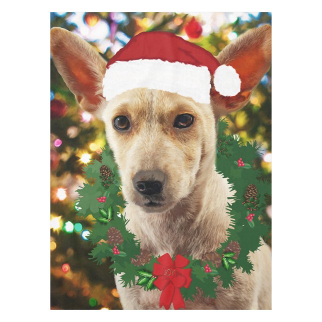 Mantel Alegría por el cachorro (Anverso)