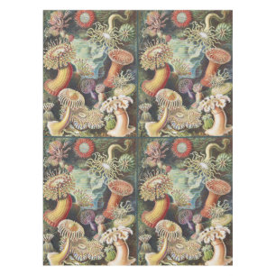 Mantel Anémonas de Mar de Haeckel Arte Náutico de Vida Ma