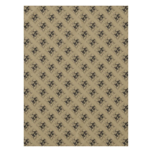 Mantel Aquarius Constellation Hevelius 1690 Ene 20 Feb 18 (Anverso)