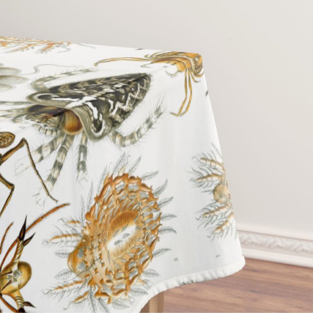 Mantel Aracnidos del ilustracion vintage Ernest Haeckel (Subido por el creador)