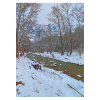 Mantel Árboles nevados Creek Forest Mountain Winter