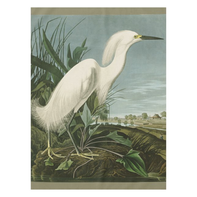 Mantel Audubon Snowy Heron White Egret Bird Birding (Anverso)