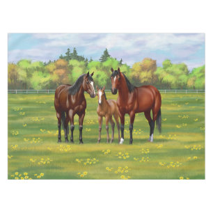 Mantel Barrio Marrón De Caballos En Pasto De Verano
