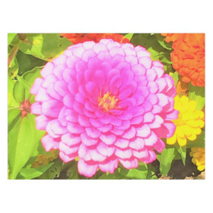 Mantel Bonito redonda de zinnia rosa en el jardín de vera