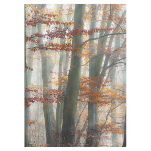 Mantel Bosque de niebla mística en otoño