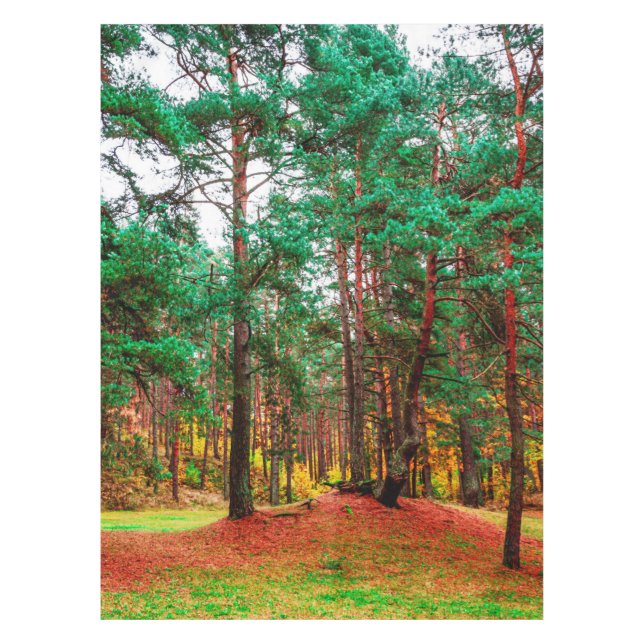 Mantel Bosque mixto de otoño (Anverso)