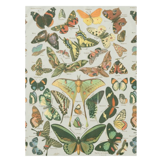 Mantel Butterfly Vintage Antiguo Butterflies Art (Anverso)