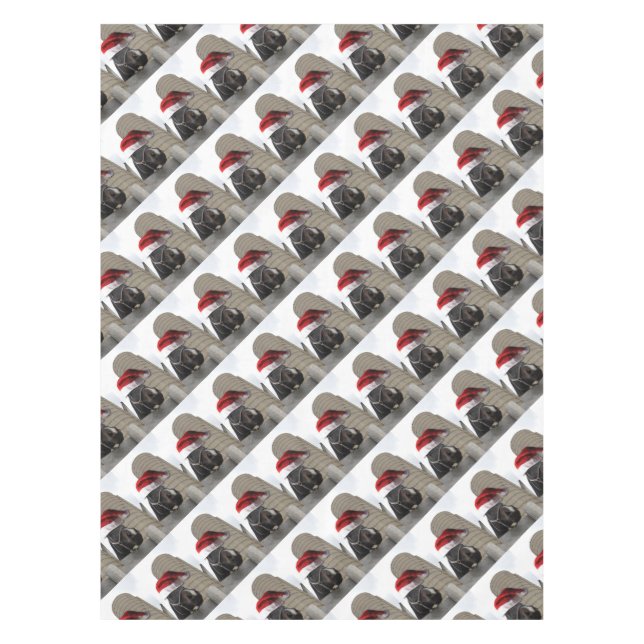 Mantel Caballo con Santa Hat (Anverso)