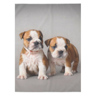 Mantel Cachorros de Bulldog ingleses Bulldog de par en