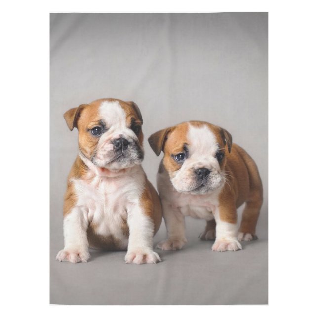 Mantel Cachorros de Bulldog ingleses | Bulldog de par en  (Anverso)