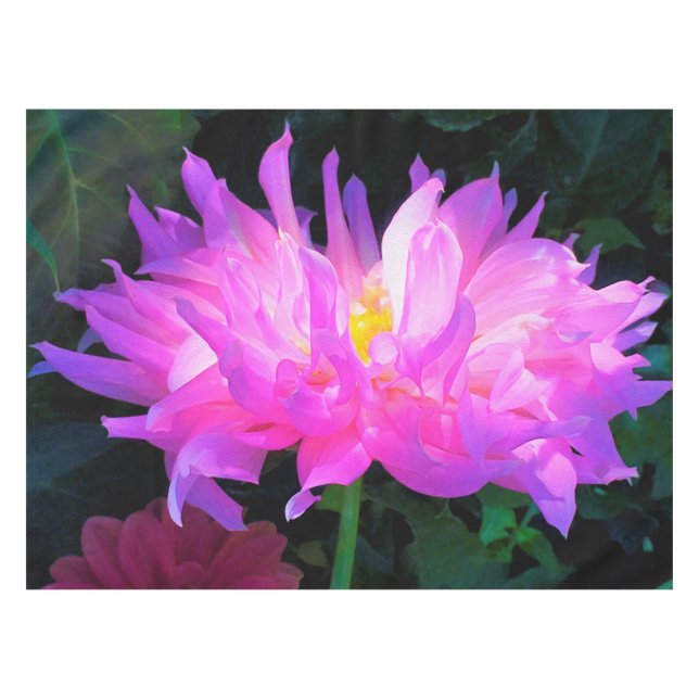 Mantel Cactus Dahlia rosa y morado asombroso (Frente (Horizontal))