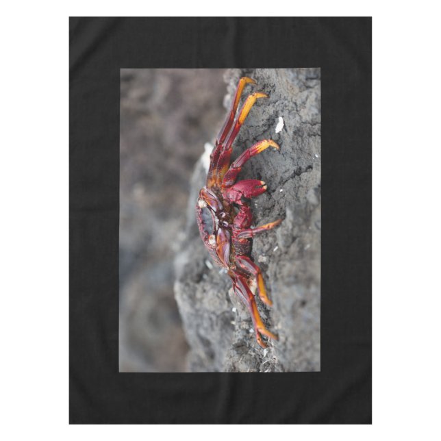Mantel Cangrejo de roca roja (Anverso)