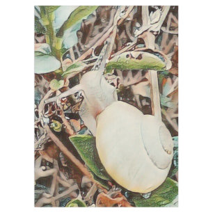 Mantel caracol toony