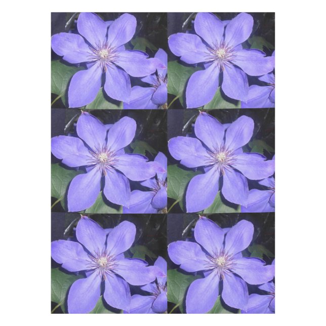 Mantel Césarine (Anverso)