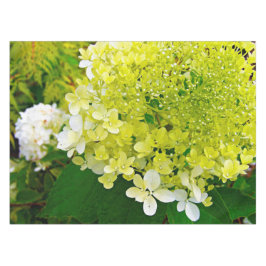Mantel Chartreuse Green, Limelight Hydrangea,