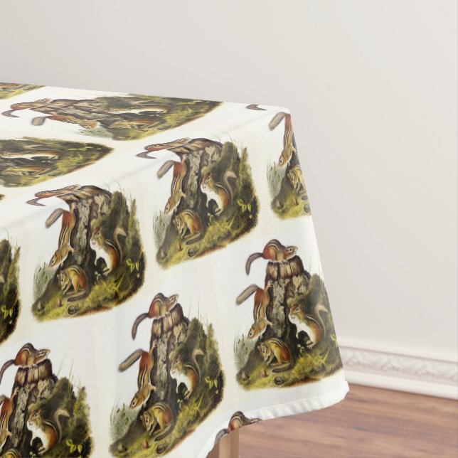 Mantel Chip Squirrel ( Eastern Chipmunk ) por Audubon (In Situ)