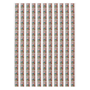 Mantel comadrejas de coney island