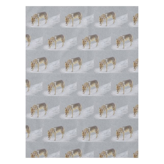 Mantel Coyote (Anverso)